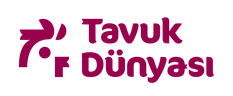 Tavuk Dünyası